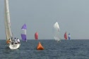 Race #5 Leeward Mark J105