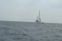 Race #8 Leeward Mark Rounding GL70
