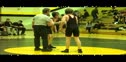 2011 highlights final version