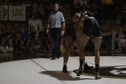 184 lbs match Mike Larson Missouri vs. Erich Schmidke Oklahoma