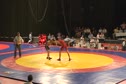 74 kg rep