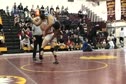 Fava Low Attack And Lift