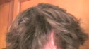 JoeFlos New Hairdo