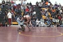 James Green Super Duck Double