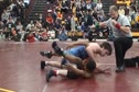 Massa Fall