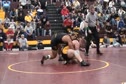 Mcintosh Nasty Return And Fall