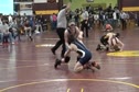 Ott TD