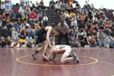 Shaffer Low Single