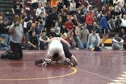 Shaffer Tilt