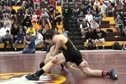 td and quick clip