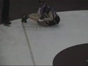EHS103SCW