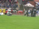 M 3k Steeple (Bruce 8:26, Heusden 2011)