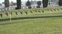 NXN Course preview