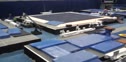 NCAA Podium is Ready to Go!