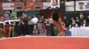 2010 Big 12 Gymnastics Championship Highlights