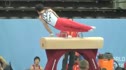 Defending World AA Champion Kohei Uchimura Showed Signs of Injury in Podium Training