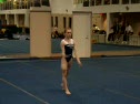 Elite Champion (Lark Pokladnik)