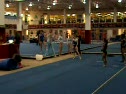 Elite Champion (Lark Pokladnik) - 8.45