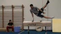 Josh Glenn Pommel