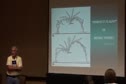 Jerry George- 5 Basic Principles for Refining Gymnastics Movement - 2, Segmentation