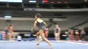 Kytra Hunter PIKED Double Arabian