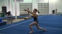 Lark Pokladnik FX Dance Thru