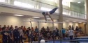 Penn State (Asaf Gans)