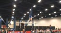 AcroTex (Daniel Potemski)