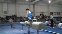 US Gymnastics (Jesse Silverstein)