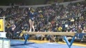 Michigan (Katie Zurales) - 9.775