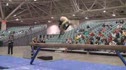 Eagles (Cami Gilman)