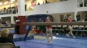 Elite Champion (Lark Pokladnik)