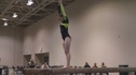 Twin City Twisters (Jessie DeZiel) - 9.625