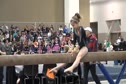 Midwest Twisters (Krystal Nelson)