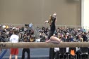 Midwest Twisters (Mandy Nelson)