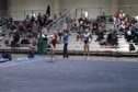Chows (Sierra Hassel) - 9.60