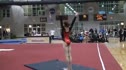 Denton Gymnastics (Emily Milliet) - 9.475