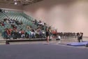 Eagles (Sarah DeMeo)
