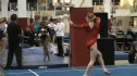 Elite Champion (Lark Pokladnik)
