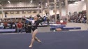 Gold Medal (Christina Postiglione)
