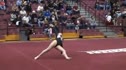 Texas Dreams (Rachel Spicer) - 9.75