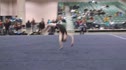 Twin City Twisters (Hollie Blanske) - 9.65