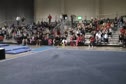 Swiss Turners (Skylar Clark)