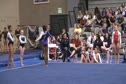 AOGC (Kelsey Carter)