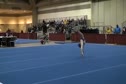 Parkettes (Christina Desiderio)