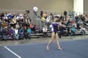 TAGS South (Madison Fox)
