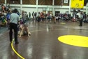 145lbs semifinals- Eleazar Deluca vs Josh Christenson