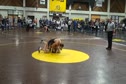 171lbs semifinals- Dylan Fors vs Gage Baumer