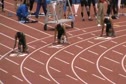 M 400 H01 (Facility record, Verburg 46.39 - SPIRE 2012)