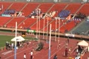 Men's Steeple A-Heat, Kanto Univ. Regionals 2010